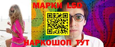 сатива Ставрополь