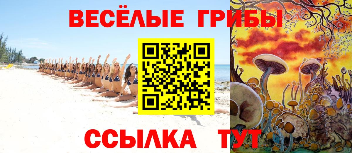 Богданович  Галлюциногенные грибы Magic Shrooms  Вход с VPN  Галлюциногенные грибы Psilocybine cubensis 