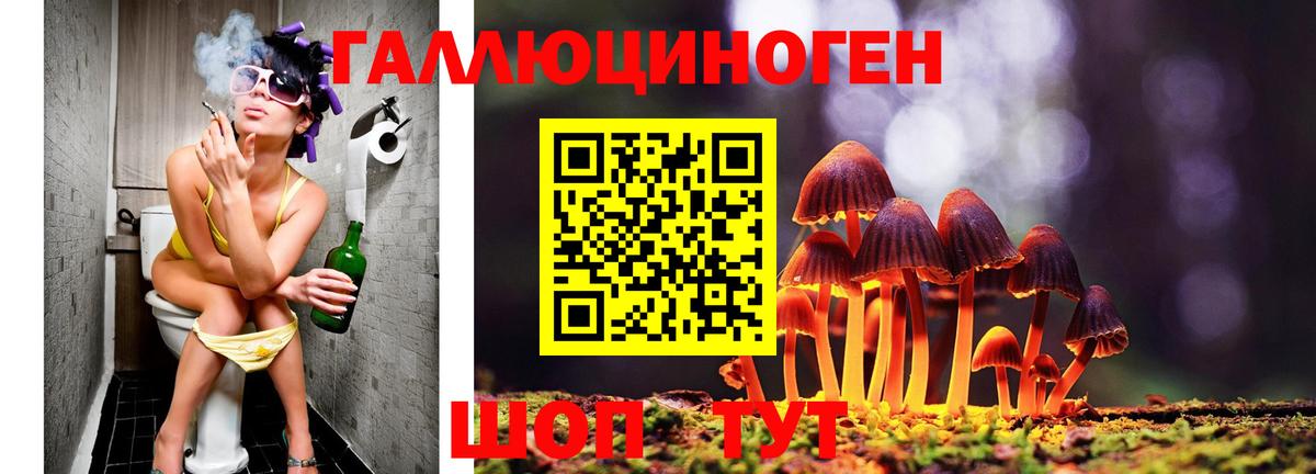 Псилоцибиновые грибы мухоморы Богданович